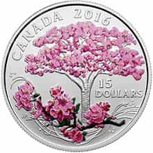 Cherry Blossoms Silver Coin